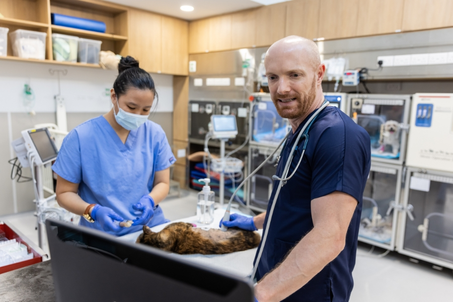 Veterinary Emergency & Specialty Hospital Singapore