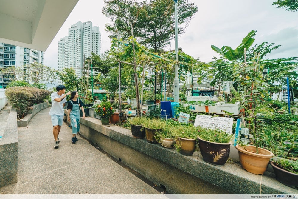The Peak Toa Payoh