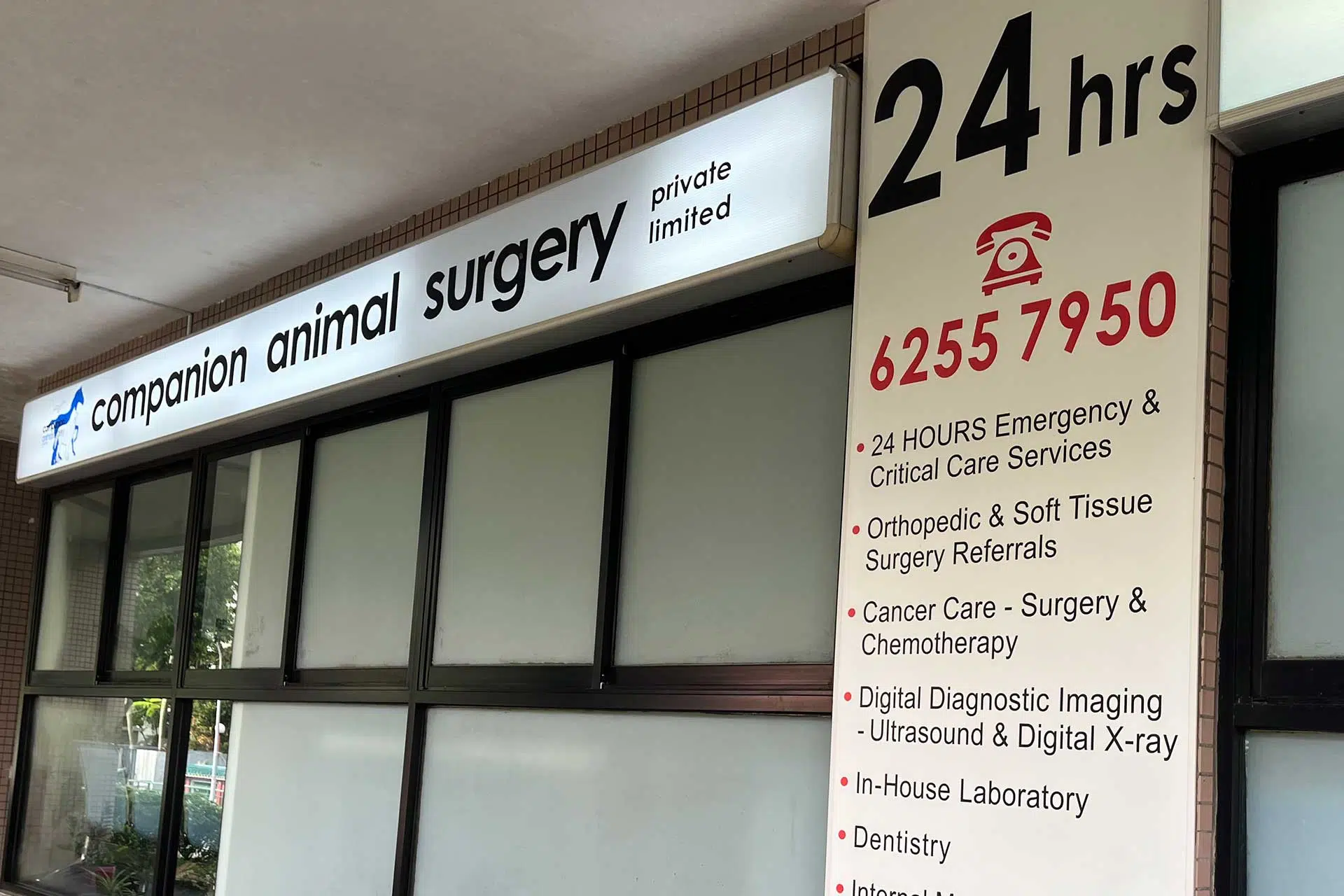 Companion Animal Surgery