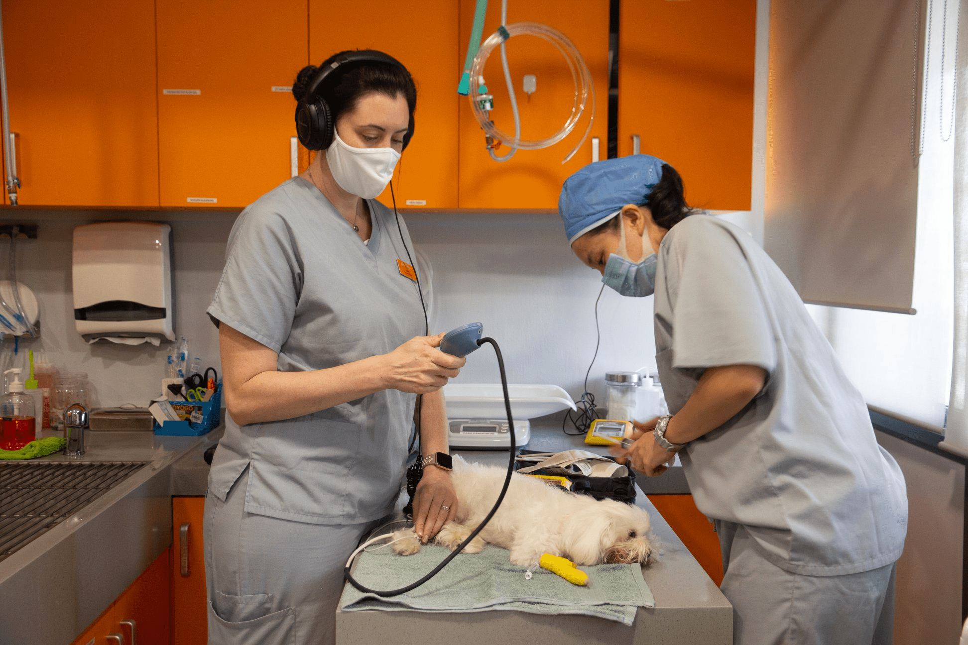 Westside Veterinary Emergency & Referral Hospital