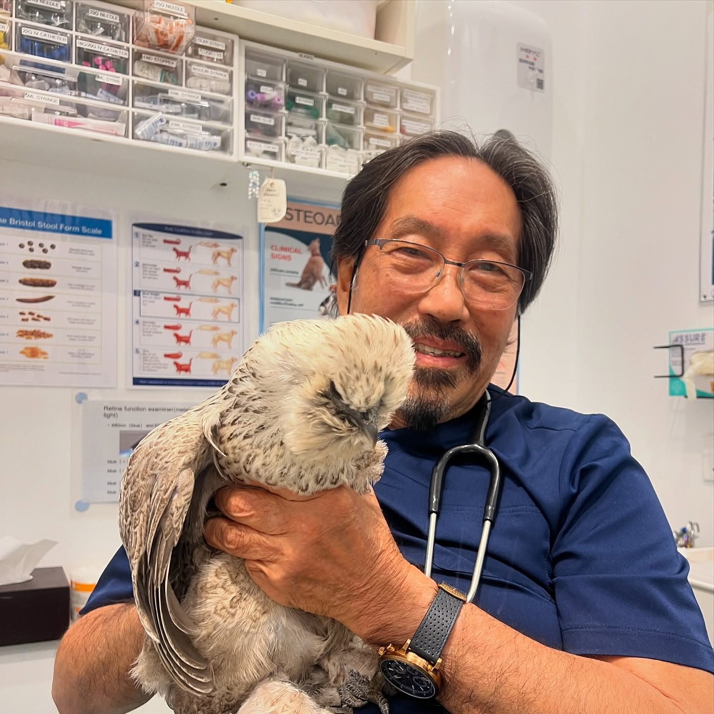 Animal Wellness Referral Centre