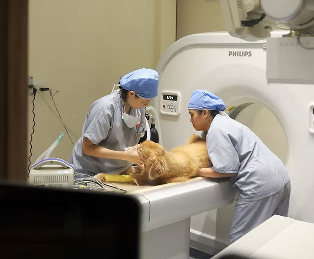 Landon Veterinary Specialist Hospital