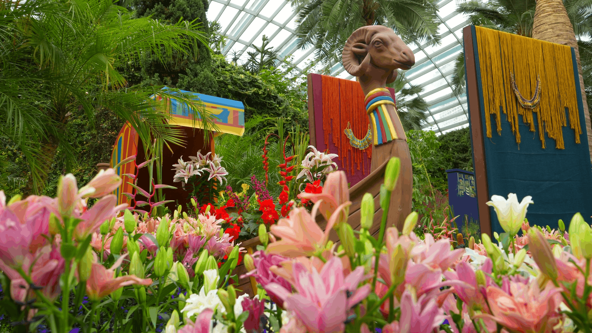 Lilytopia