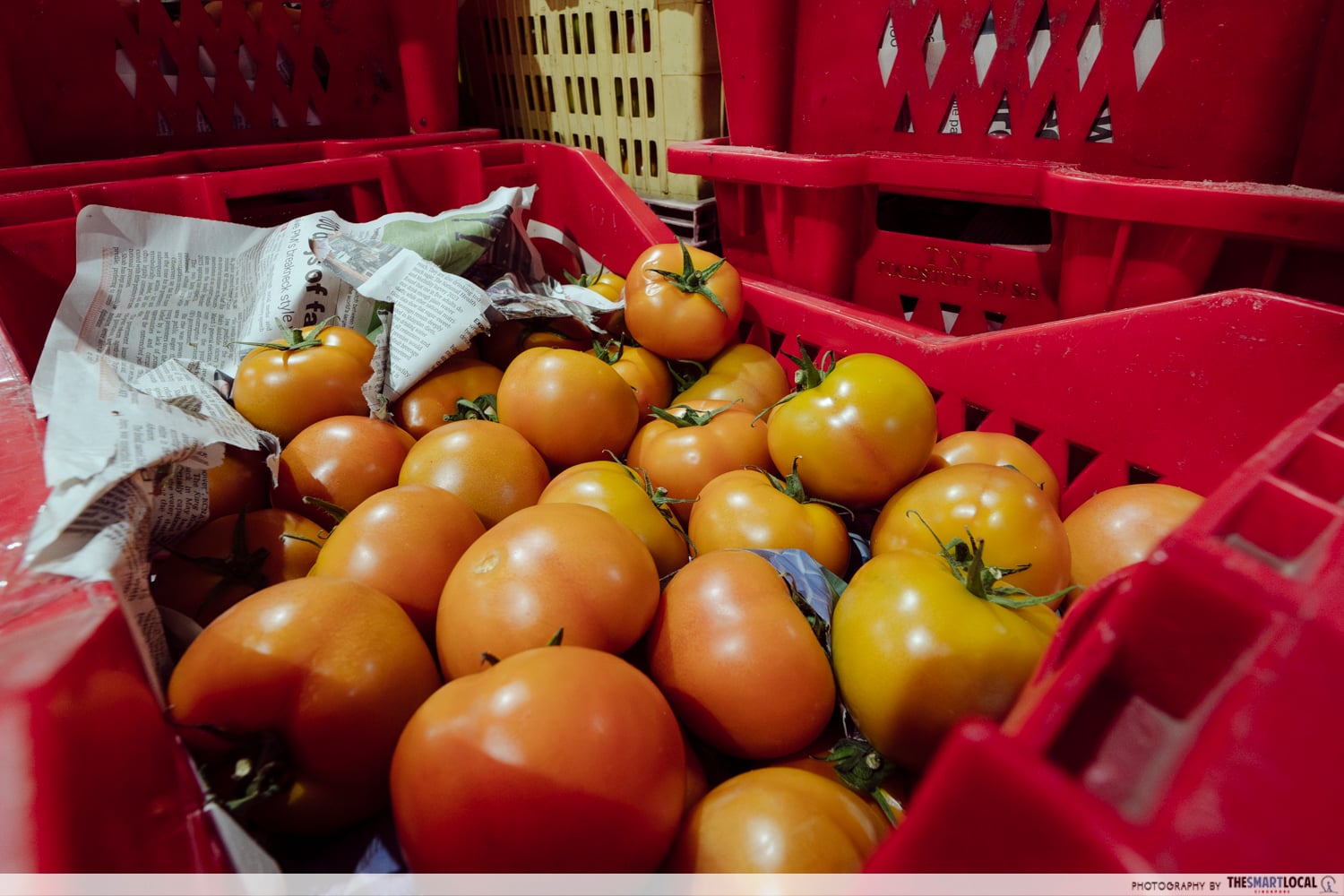 pasir panjang wholesale centre - persimmons