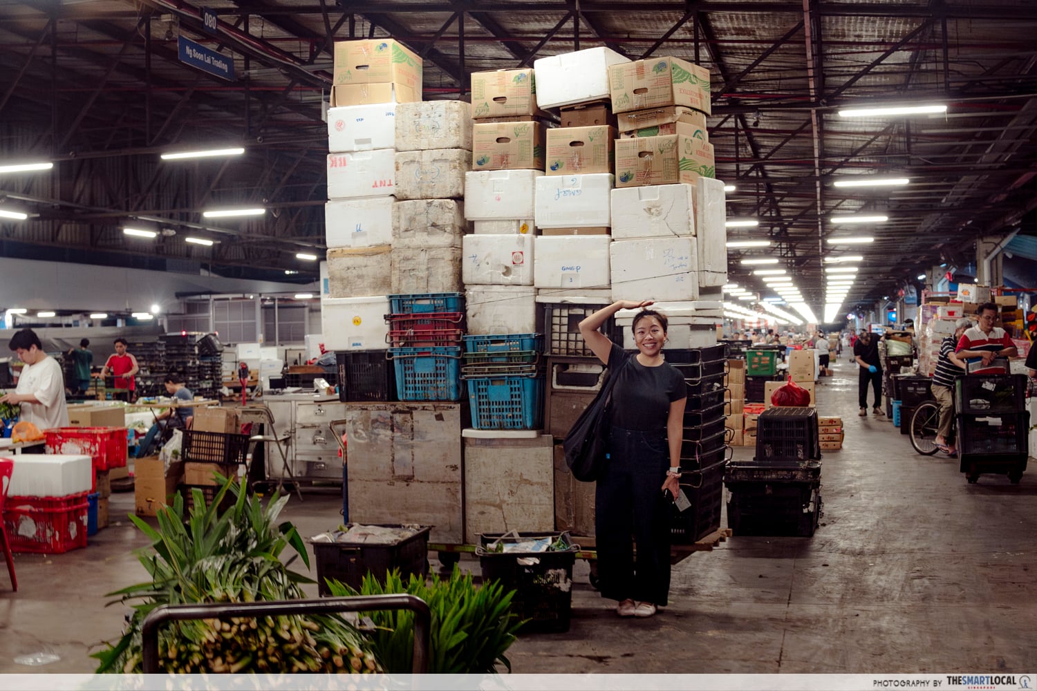 pasir panjang wholesale centre - trolley