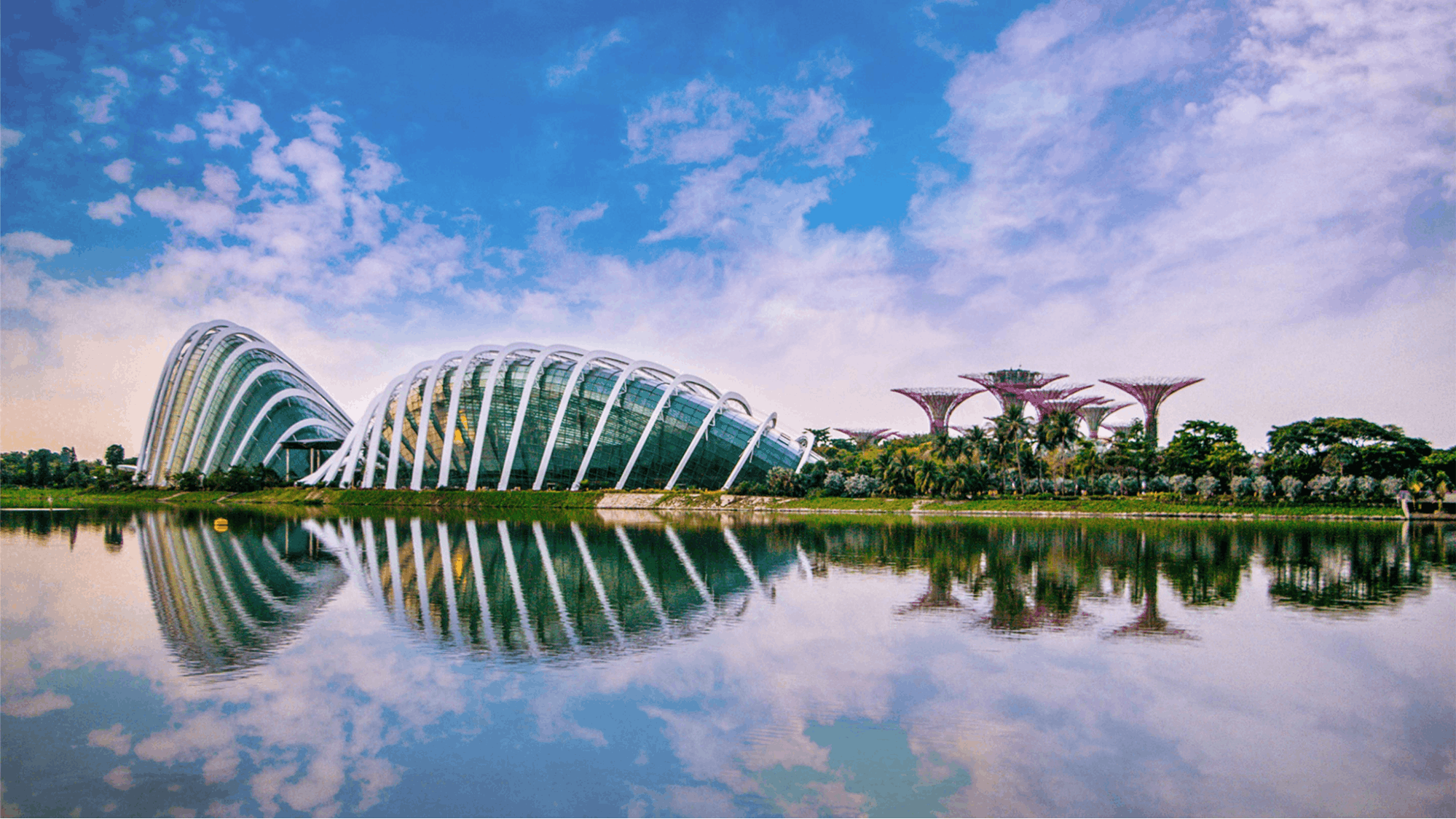 senior citizens discounts gardens by the bay