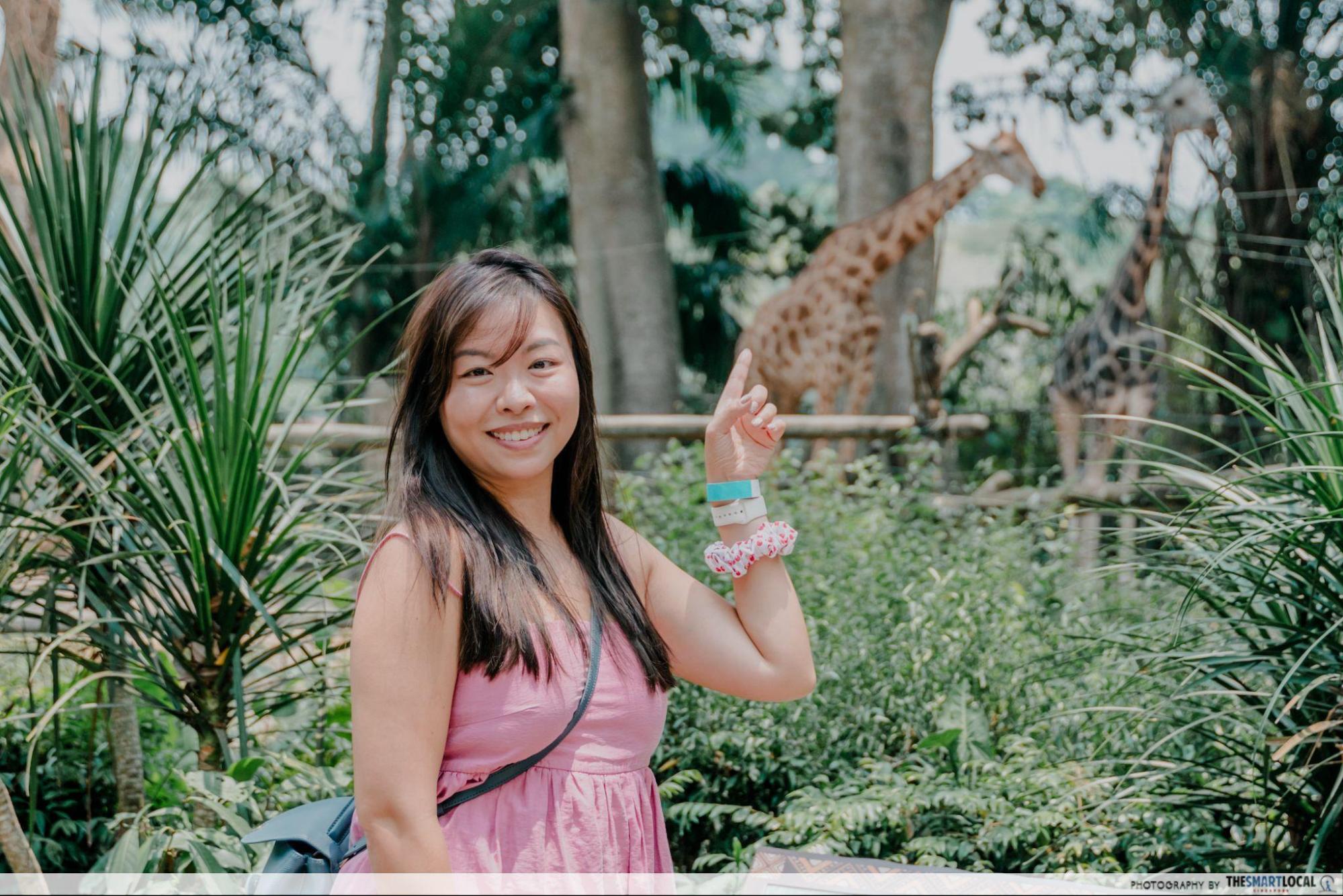 stars of mandai - giraffe