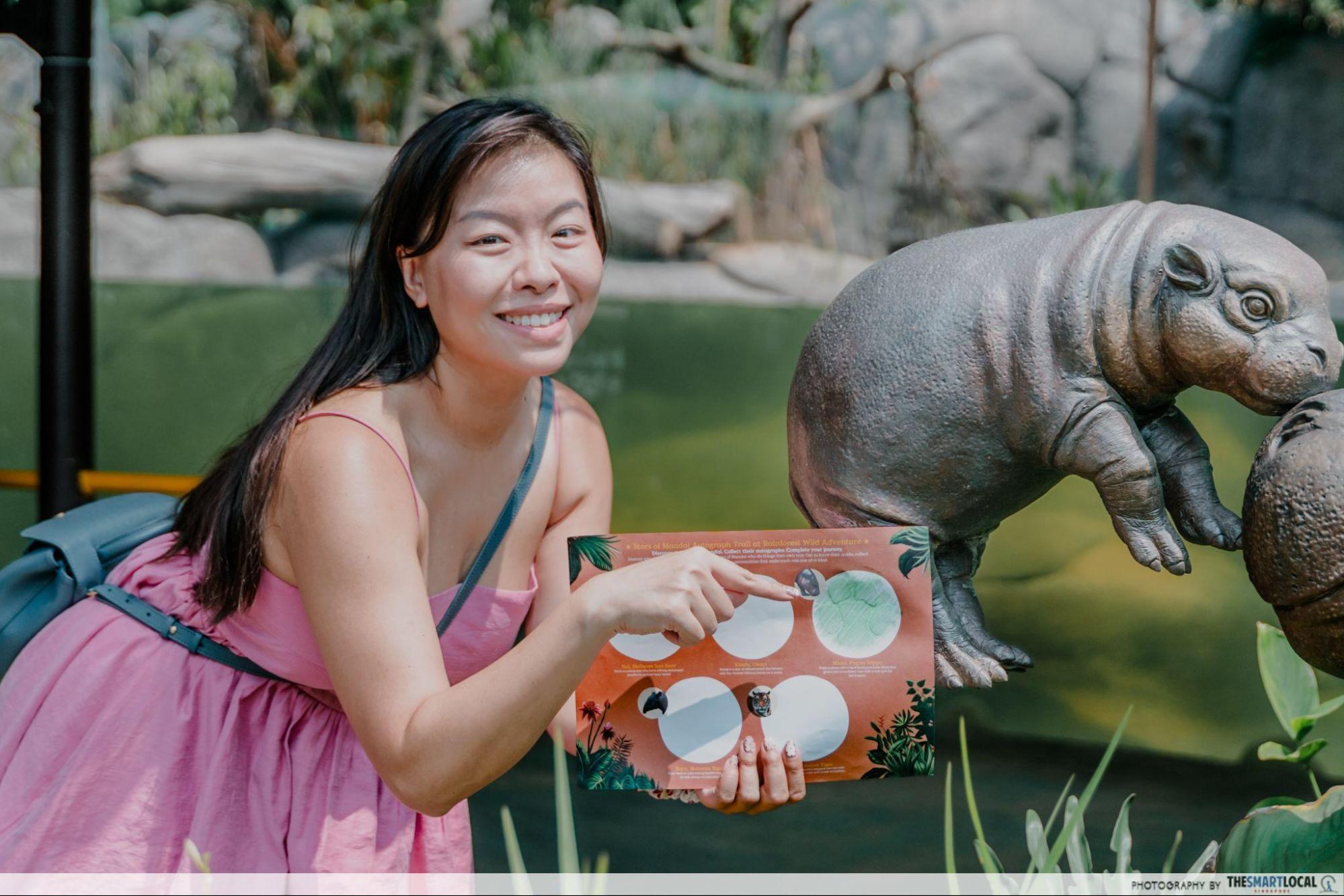 stars of mandai - pygmy hippo