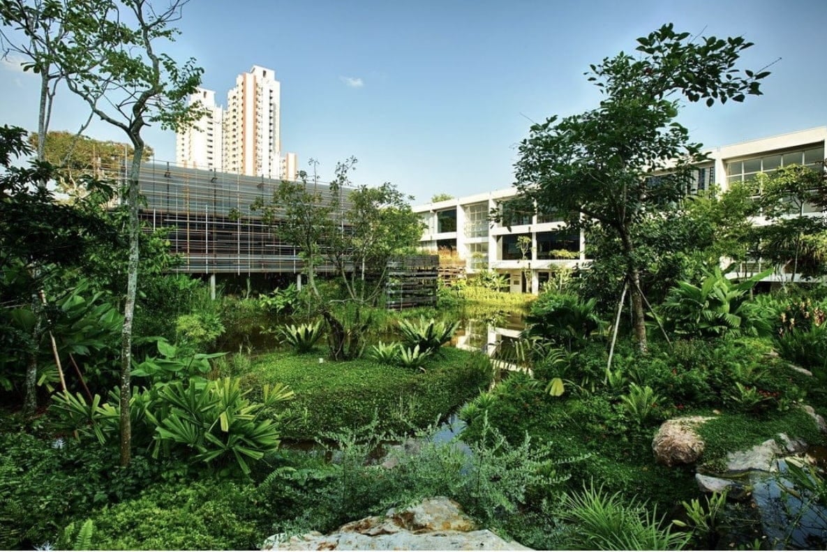 Lush greenery at Enabling Village