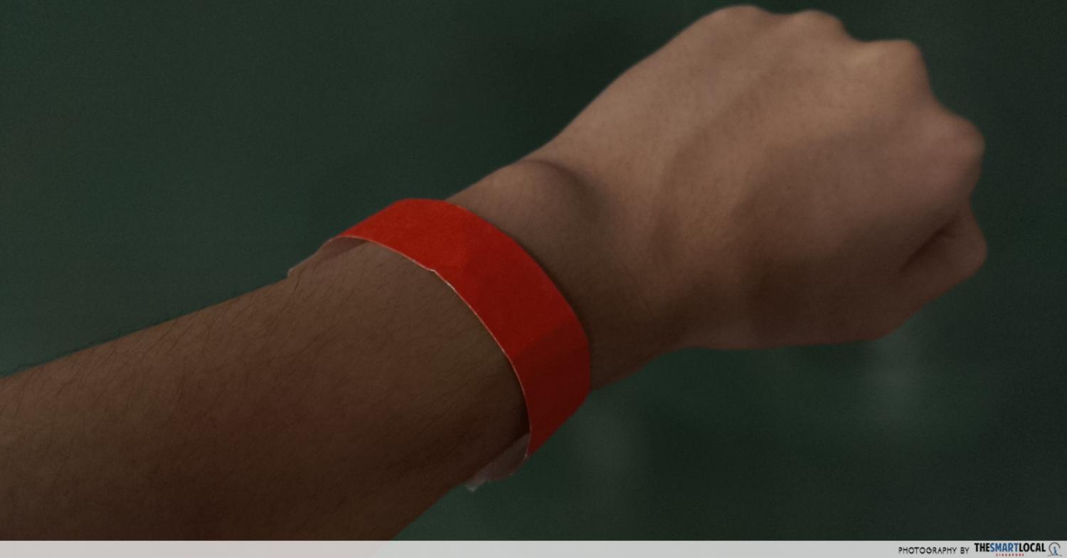Entry Wristbands