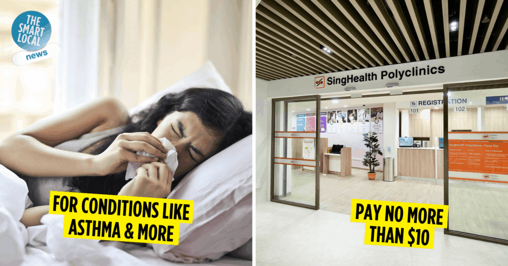 Haze Subsidy Scheme - cover image