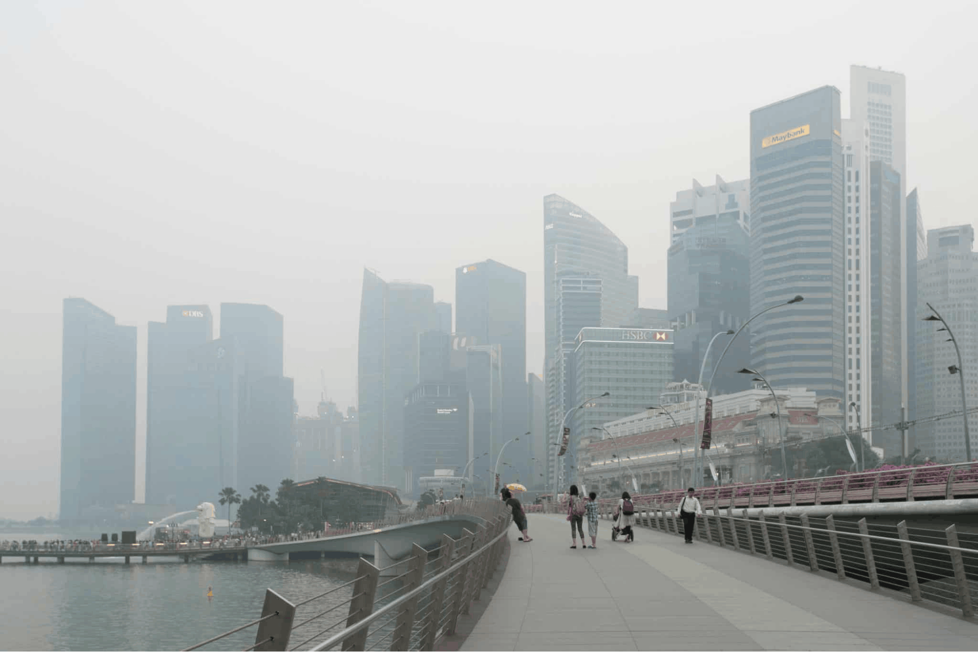 How to collect your free N95 mask - haze in the city