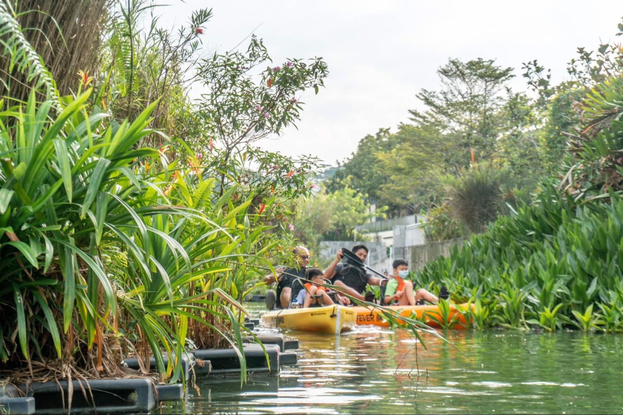 River Of Life Kayak Tour greenery