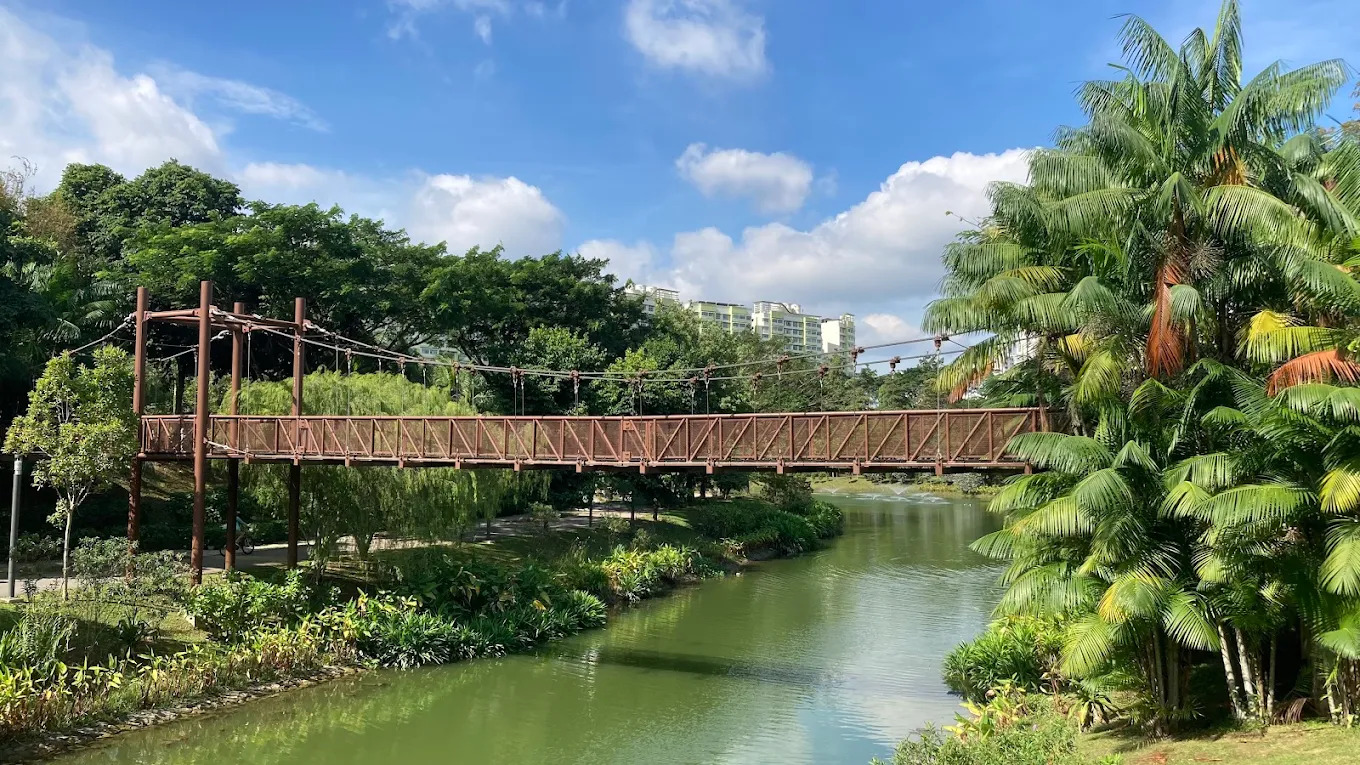 River Of Life Kayak Tour Adventure Bridge