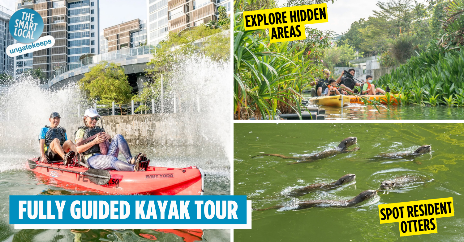 You Can Kayak Through Punggol On A Guided Tour To Explore The Waterways & Spot Wildlife