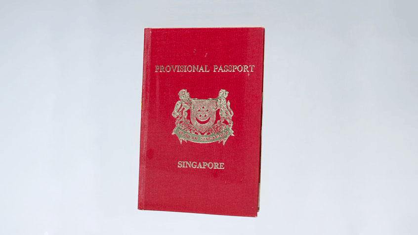 Provisional passport