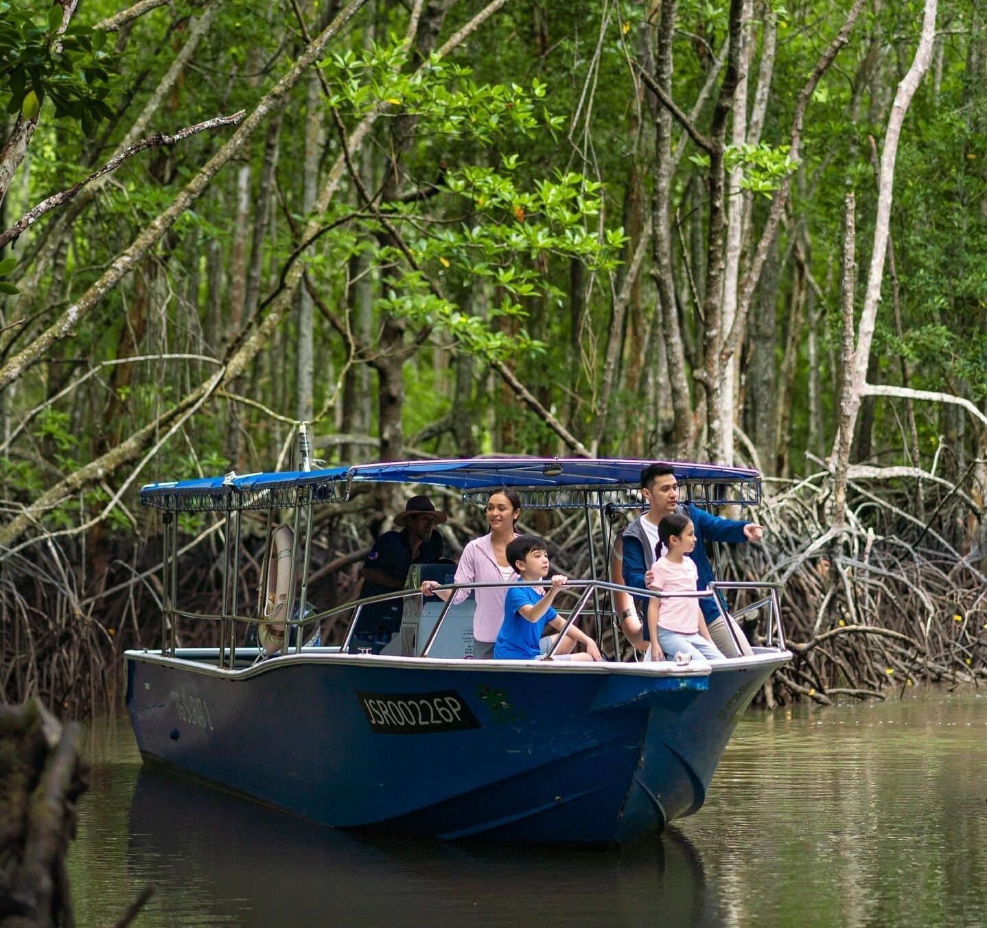 Appreciate wildlife at Desaru Mangrove