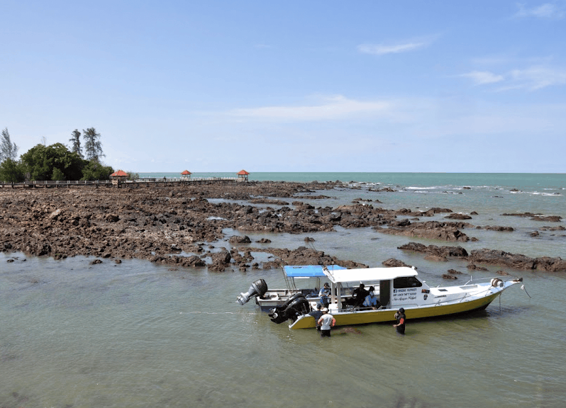 Fish at Tanjung Balau