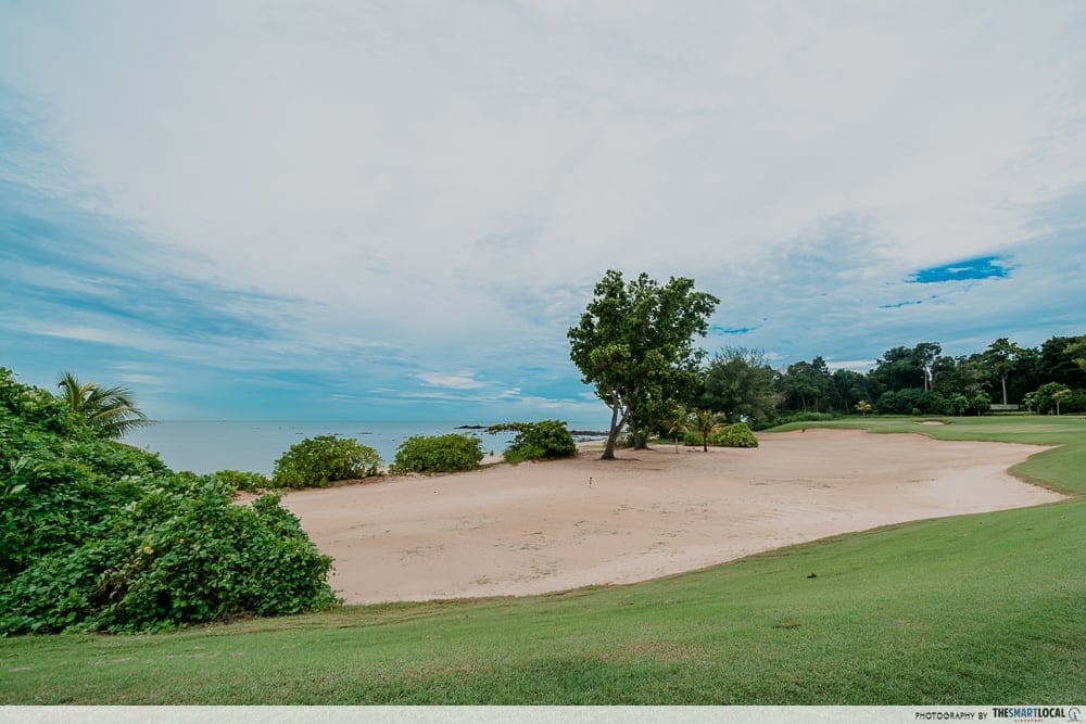 Perfect for golf lovers