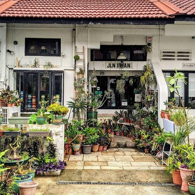 the intan entrance