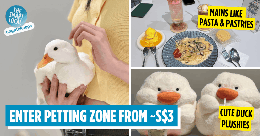 duck cafe jb - cover image