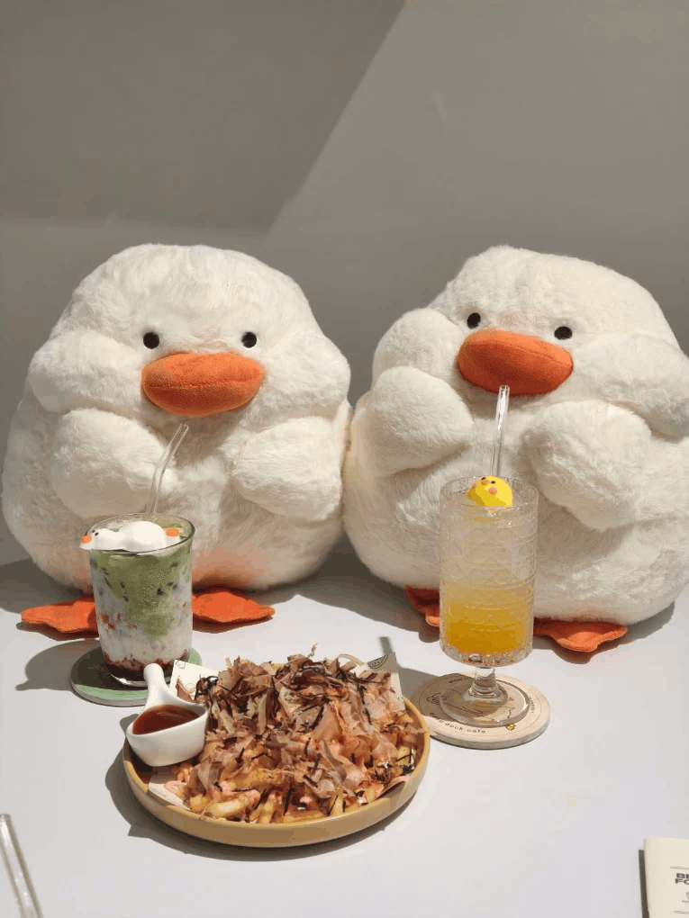 duck cafe jb - duck plushies