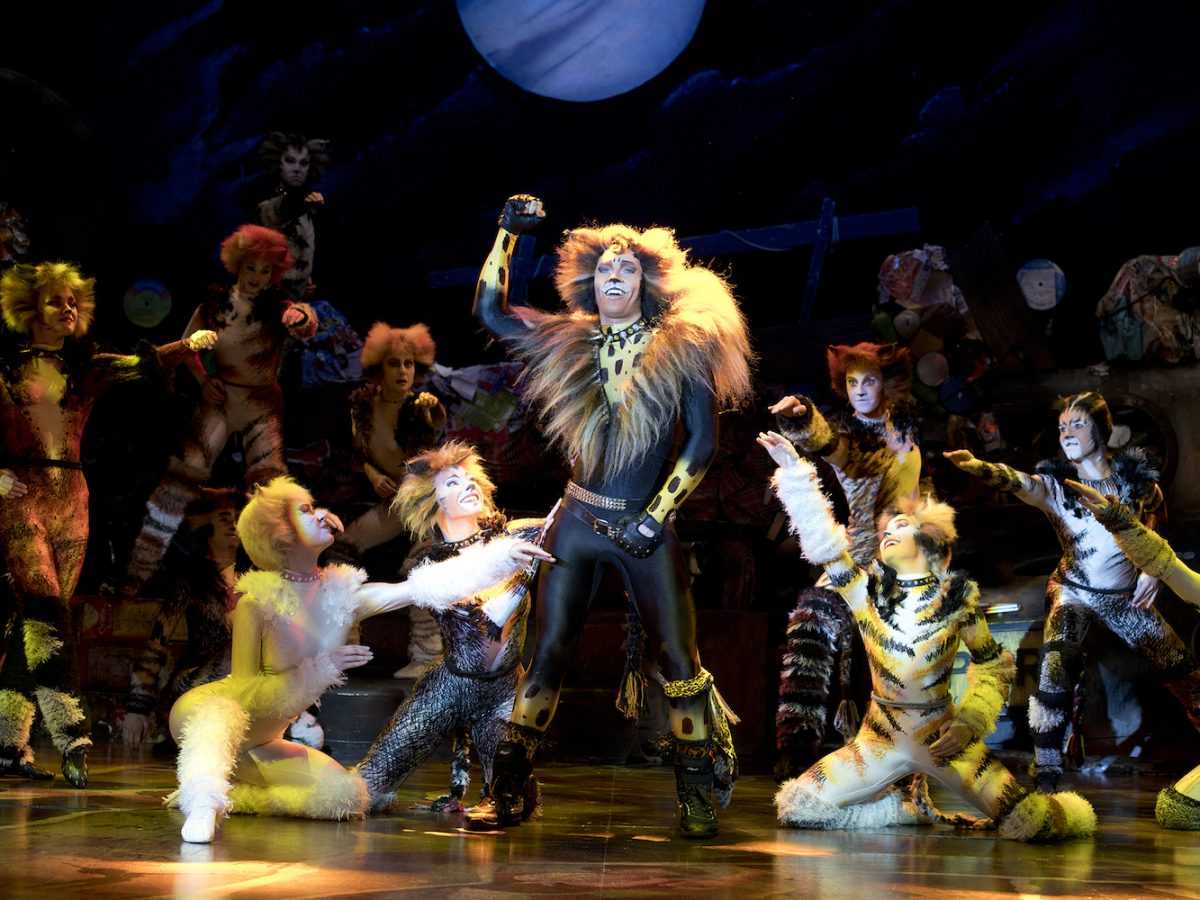 CATS The Musical