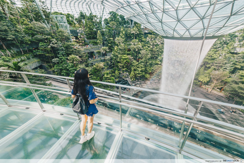 Canopy Bridge