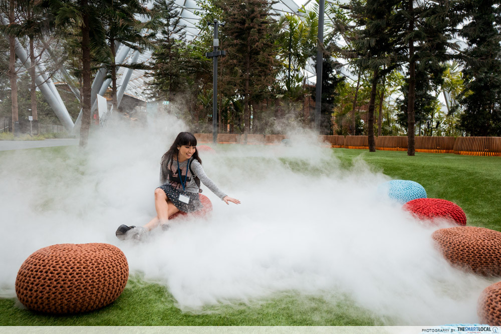 Foggy Bowls