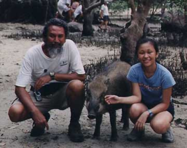 Priscilla the Wild Boar