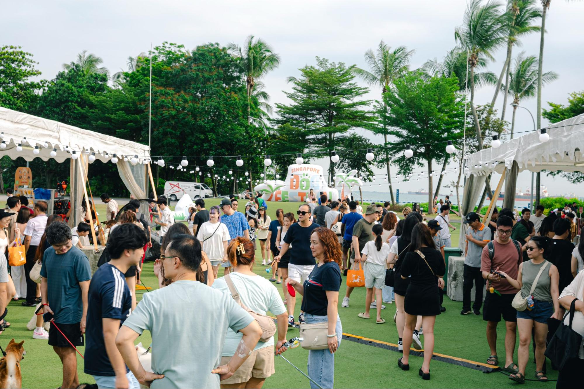 Singapore Dog Festival