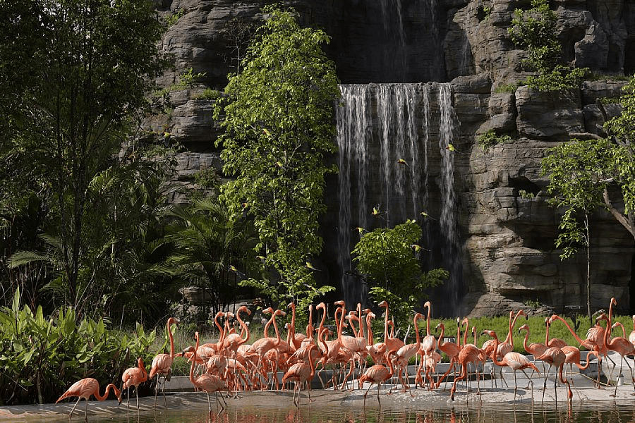 loyalty memberships - mandai wildlife reserve 2