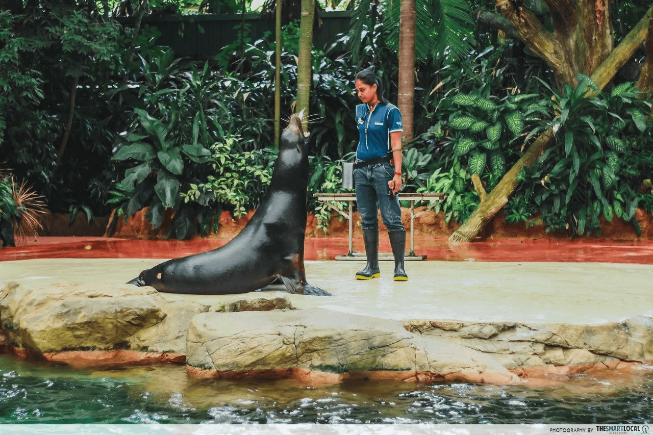 loyalty memberships - mandai wildlife reserve 3