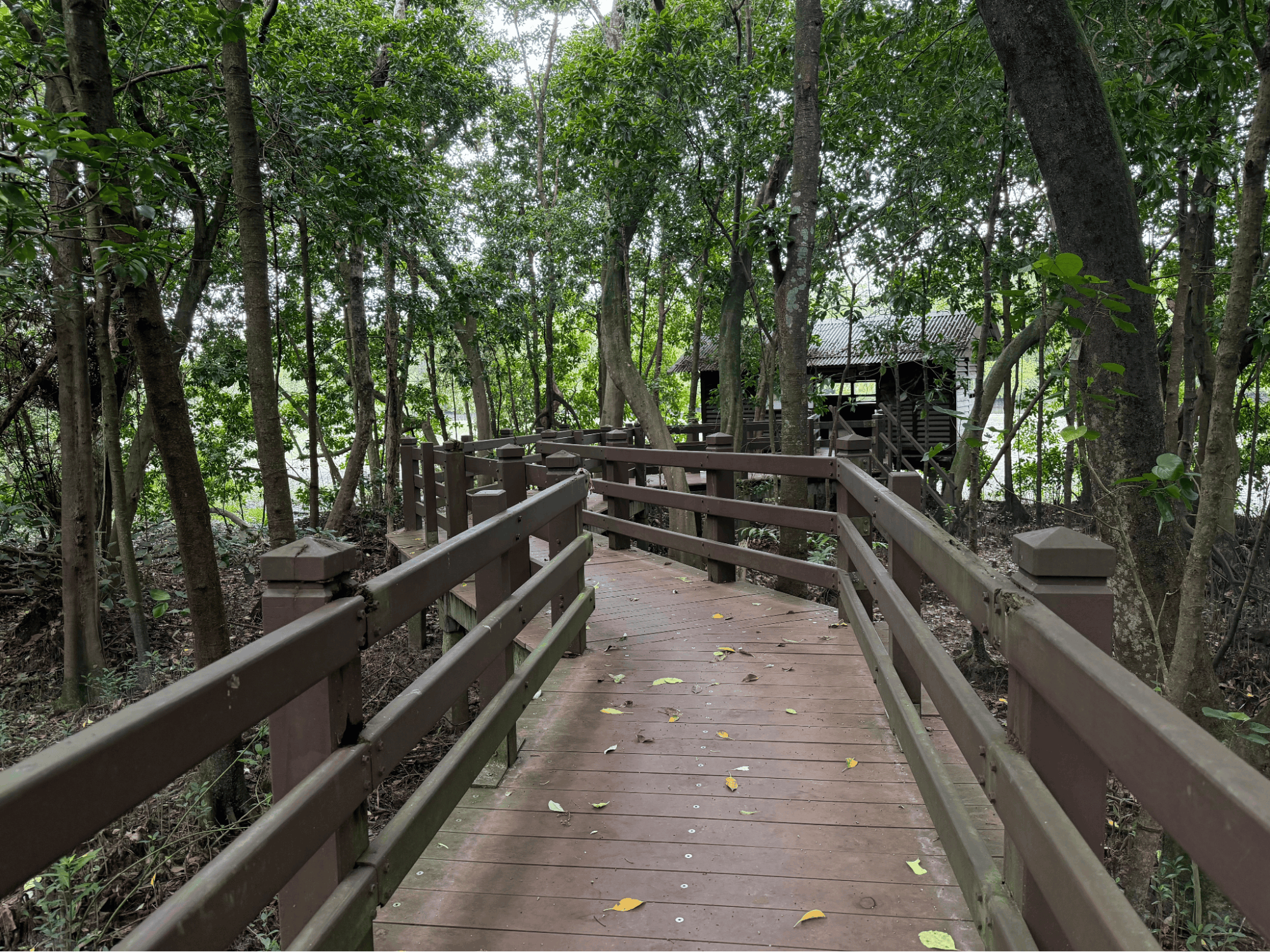 walking clubs - weekend miles & smiles 2