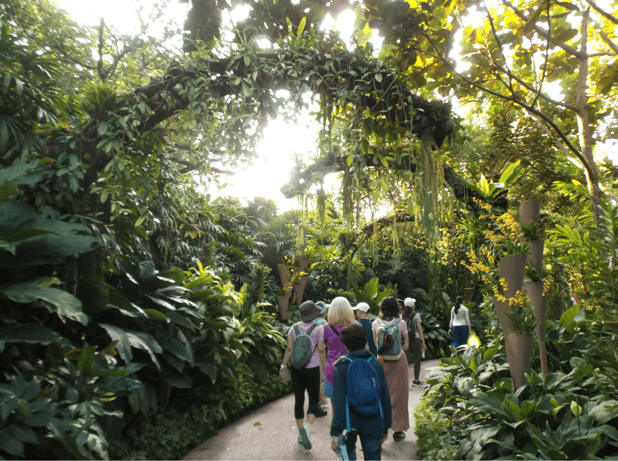 walking groups - i walk i hike i eat i travel 2