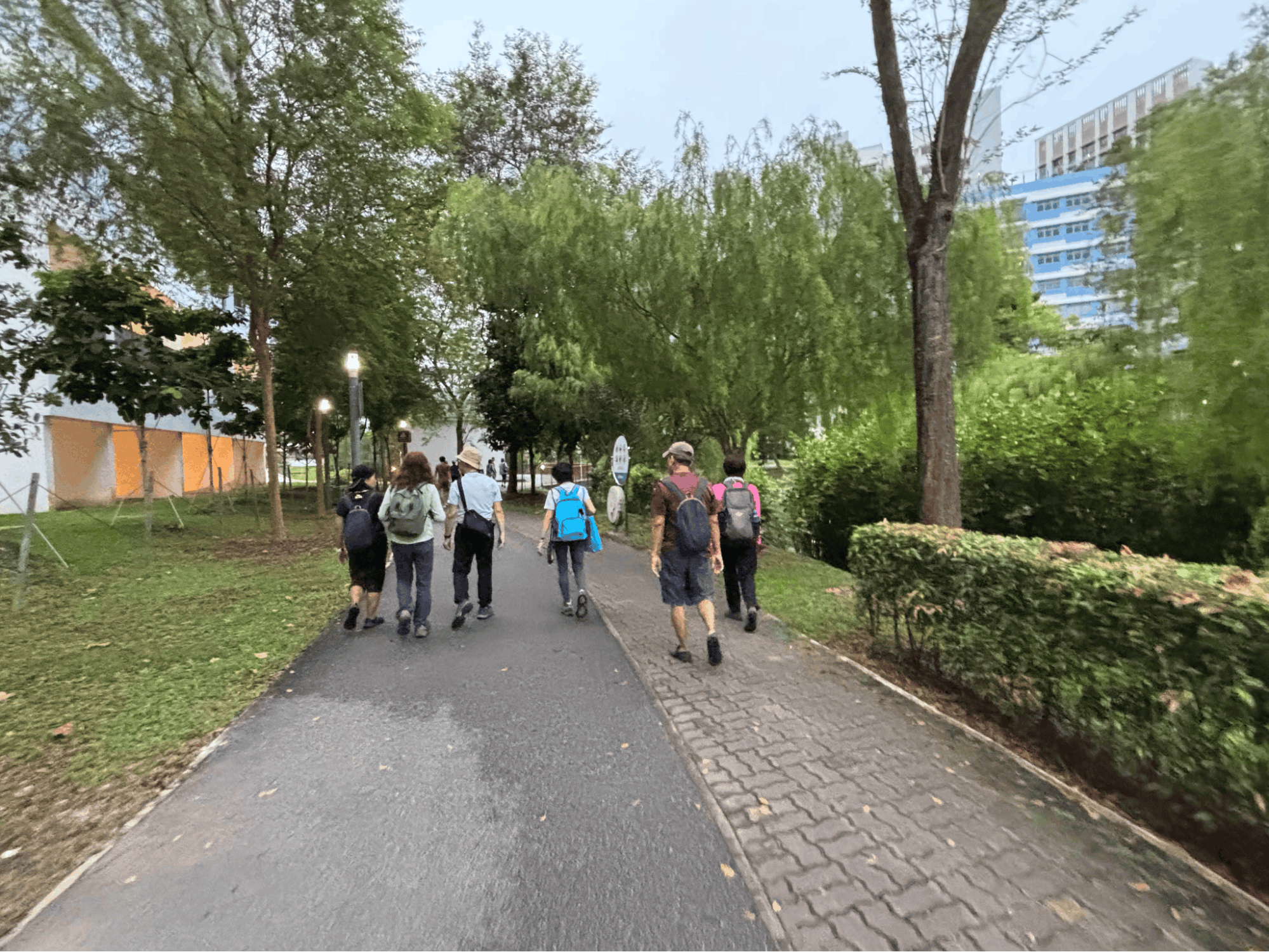 walking groups - i walk i hike i eat i travel 3