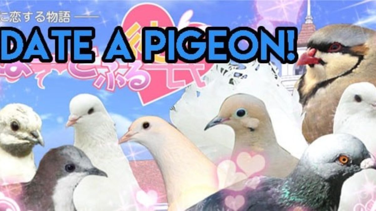 Pigeon games free