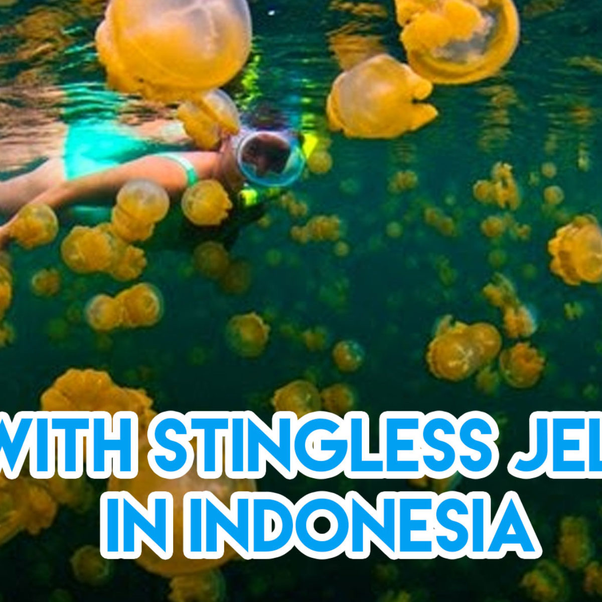 9 Less Explored Snorkelling Sites In Asia Unlike Anything You Ve Seen In Bali Or Phuket